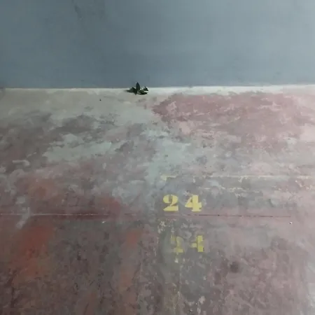 Cd-estudio, Estudio A Estrenar Acogedor Y Funcional, Centrico, Barrio Tranquilo Apartment